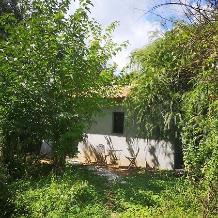 Villa Griseor Porto-Vecchio  Bagian luar foto