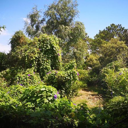 Villa Griseor Porto-Vecchio  Bagian luar foto