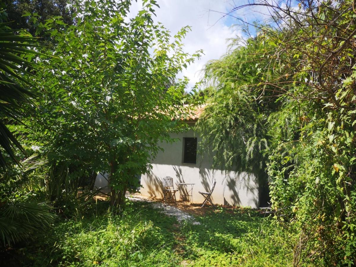 Villa Griseor Porto-Vecchio  Bagian luar foto