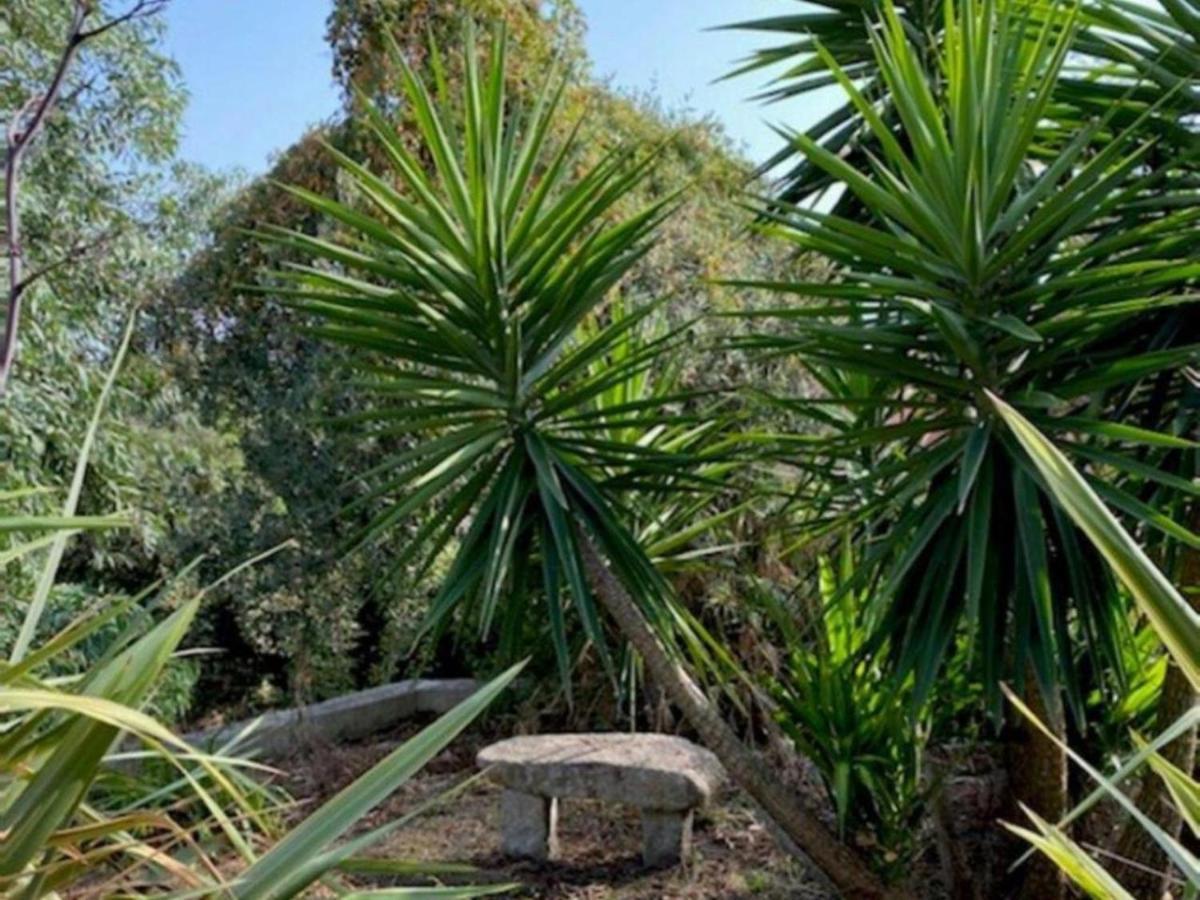 Villa Griseor Porto-Vecchio  Bagian luar foto