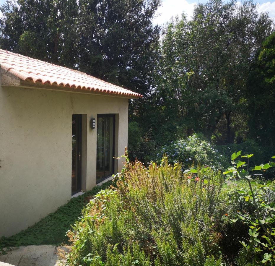 Villa Griseor Porto-Vecchio  Bagian luar foto